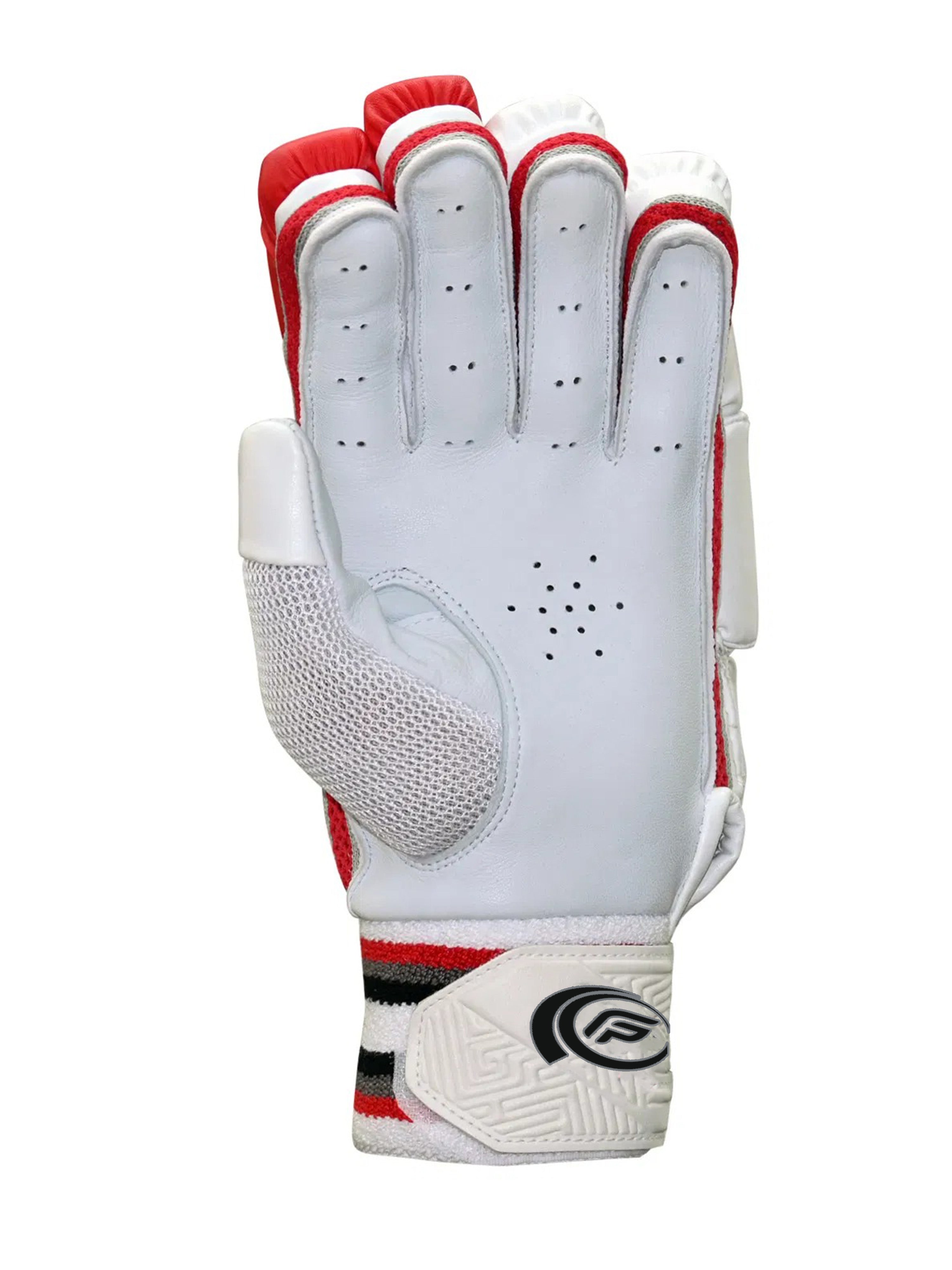 FPSI COLLEGE BATTING GLOVES | DUAL PADDED | LEATHER PALM