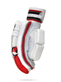 FPSI COLLEGE BATTING GLOVES | DUAL PADDED | LEATHER PALM