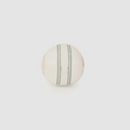 SG Super 50 Cricket Ball | White | Leatherette material